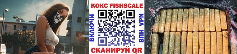 КОКАИН Эквадор Горбатов