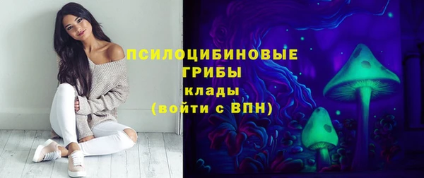стафф Алексеевка