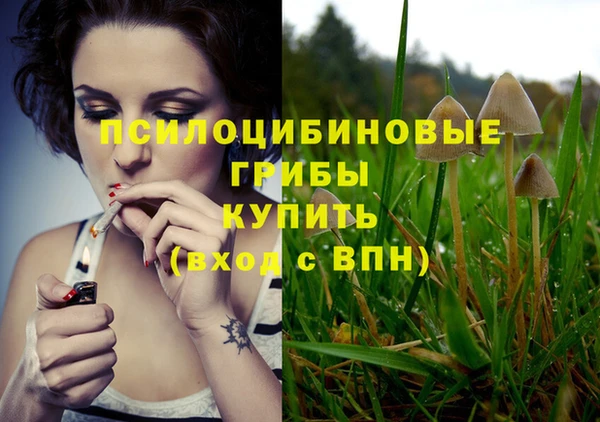 стафф Алексеевка